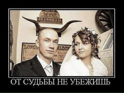 ОТ СУДЬБЫ НЕ УБЕЖИЦШЬ