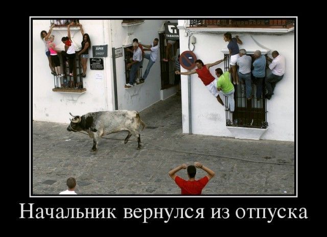 Начальник вернулся из отпуска
