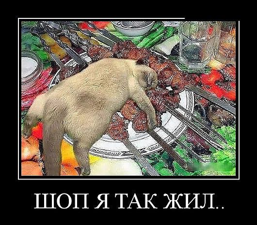 ШОП Я ТАК ЖИЛ