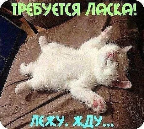 Гтізкевуется лески