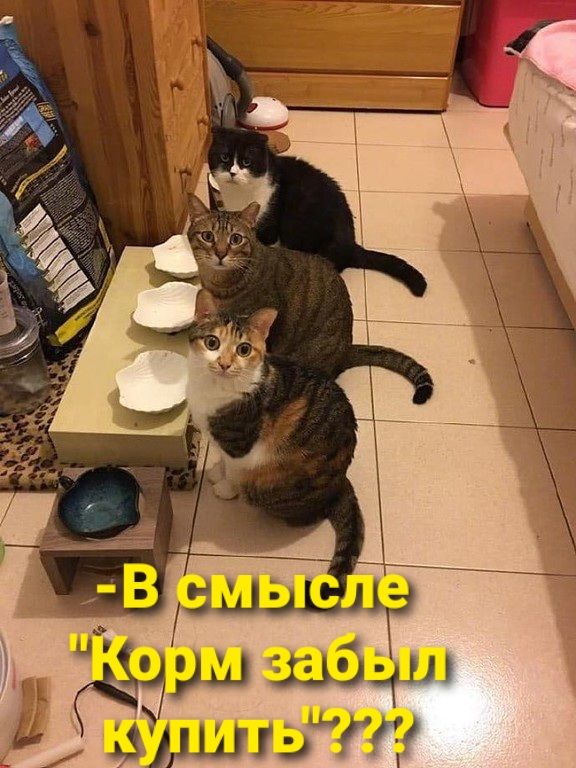 Ы 'чдщ за0 ц! Й  мду 73