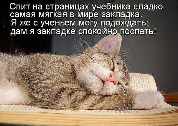 Спит на страницах учебника сладко самая мягкая в мире закладка Я же с ученьем могу дам Я закладке СПОК _И