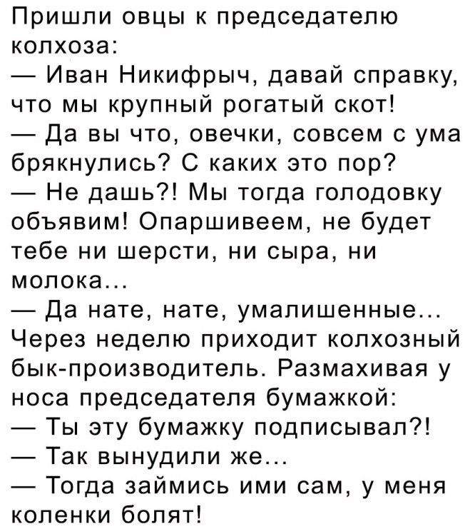 Пришли овцы к председателю колхоза Иван Никифрыч давай справку что мы крупный рогатый скот да вы что овечки совсем с ума брякнупись С каких это пор Не дашь Мы тогда голодовку объявим Опаршивеем не будет тебе ни шерсти ни сыра ни молока Да нате нате умалишенные Через неделю приходит колхозный бык производитель Размахивая у носа председателя бумажкой Ты эту бумажку подписывал Так вынудили же Тогда з