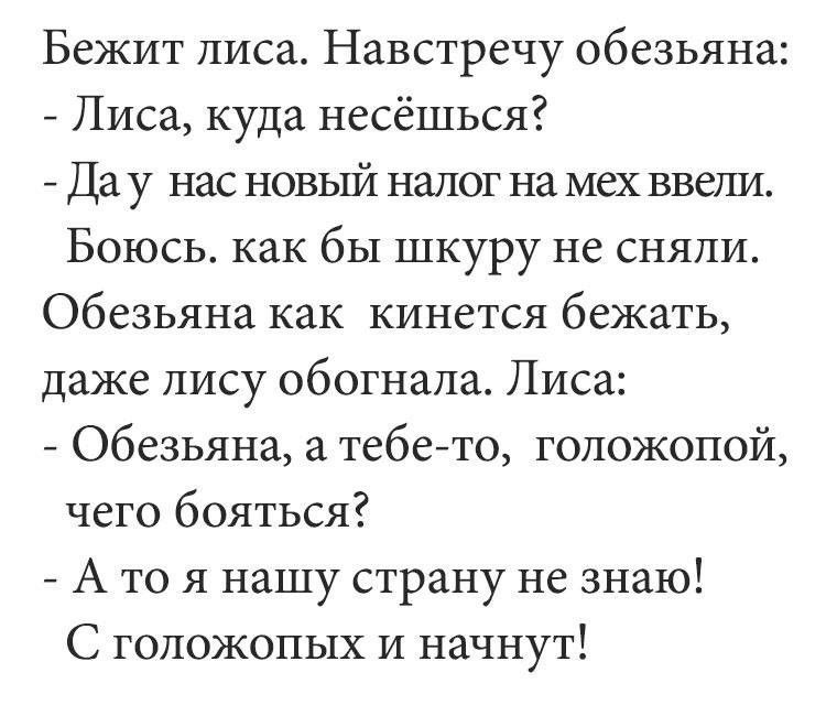Бежит лиса Навстречу обезьяна Лиса куда несёшься Да у нас новый налог на мех ввели Боюсь как бы шкуру не сняли Обезьяна как кинется бежать даже лису обогнала Лиса Обезьяна а тебето голожопой чего бояться А то я нашу страну не знаю С голожопых и начнут