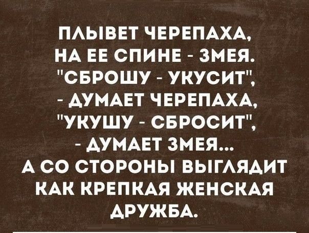 ПАЫВЕТ ЧЕРЕПАХА НА ЕЕ СПИНЕ ЗМЕЯ СБРОШУ УКУСИТ АУМАЕТ ЧЕРЕПАХА УКУШУ СБРОСИТ АУМАЕТ ЗМЕЯ А СО СТОРОНЫ ВЫГАЯАИТ КАК КРЕПКАЯ ЖЕНСКАЯ АРУЖБА