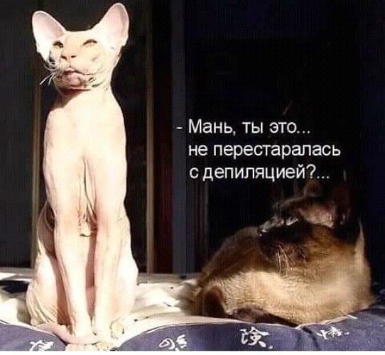 Мань ты это не перестаралась с депиляцией