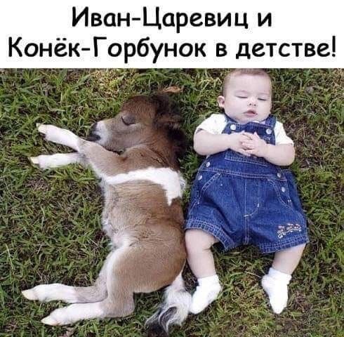 Иван Царевиц и