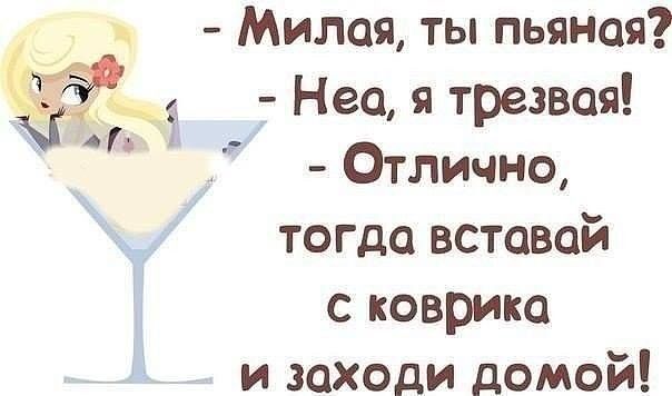 Милая ты пьяная Ж Неа я трезвая Отлично тогда вставай с коврика и заходи домой