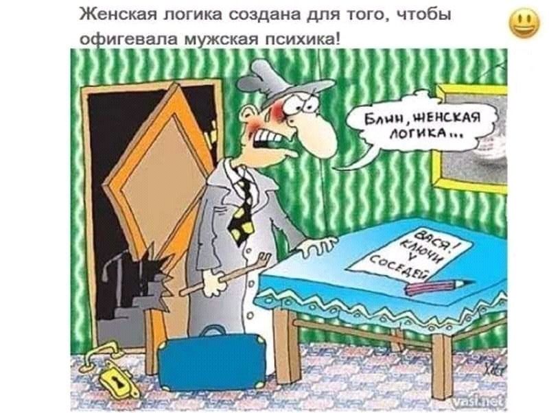 Женская логика создана для того чтобы О игевала мужская ПСИХИКЗ