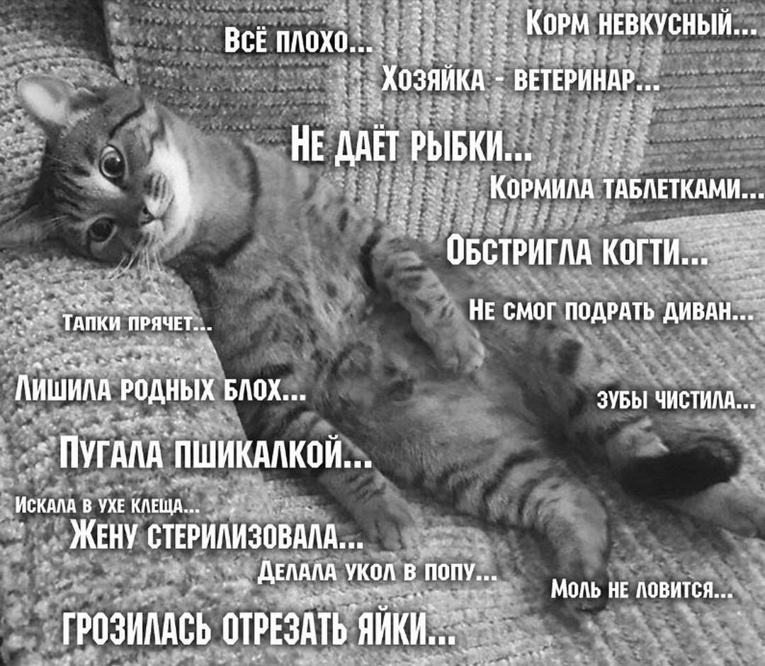 ИсЁЁЕЪ д ЖЕНЩВТЕРИА зп __