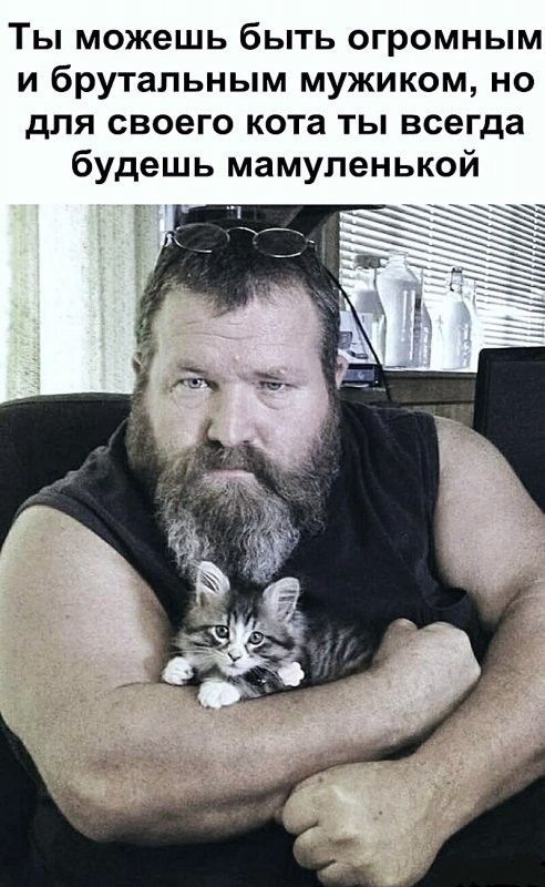 Ты можешь быть огромным и брутальным мужиком но для своего кота ты всегда будешь мамупенькой 1