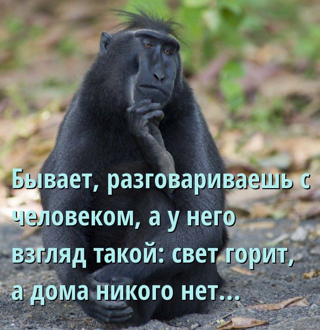 н д ь  у вает, разговаривае