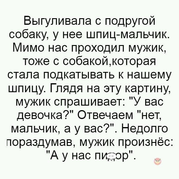 Выгуливала с подругой собаку у нее шпиц мальчик Мимо нас проходил мужик тоже с собакойкоторая стала подкатывать к нашему шпицу Глядя на эту картину мужик спрашивает У вас девочка Отвечаем нет мальчик а у вас Недолго пораздумав мужик произнёс А у нас пщэор