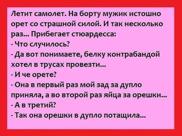 Летит самолет На борту мужик истошно орет со страшной силой И так несколько раз Прибегает стюардесса Что случилось Да вот понимаете белку контрабандой хотел в трусах провезти И че орете Она в первый раз мой зад аа дупло приняла а во второй раз яйца за орешки А в третий Так она орешки в дупло потащила