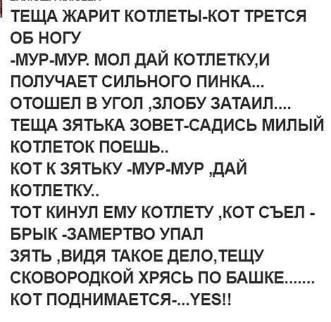 ТЕЩА ждрит котпвтьъкот ТРЕТСЯ ов ногу мур мур моп дАЙ котпвткум ПОПУЧАЕТ сильного ПИНКА отошел в угол зпову 3АТАИЛ ТЕЩА ЗЯТЬКА ЗОВЕТ САДИСЬ милый КОТЛЕТОК повшь кот к зятьку мур мур дАй КОТЛЕТКУ тот кинул ему котпвту кот съвп _ БРЫК 3АМЕРТВО упдп зять видя ТАКОЕ двпотвщу сковородкой хрясь по БАШКЕ кот ПОДНИМАЕТСЯ ХЕЭН