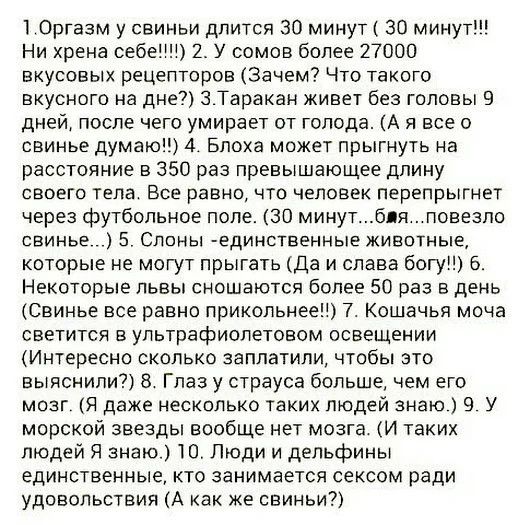 1 Оргазм у свиньи длится 30 минут 30 минут Ни хрена себе 2 У сомов более 27000 вкусовых рецепторов Зачем Что такого вкусного на дне 3 Таракан кивет без головы 9 дней после чего умирает от голода А я все о свинье думаю 4 Блоха может прыгнуть на расстояние в 350 раз превышающее длину своего тела Все равно что человек перепрыгнет через футбольное поле 30 минутбя повезло свинье 5 Слоны единственные жи