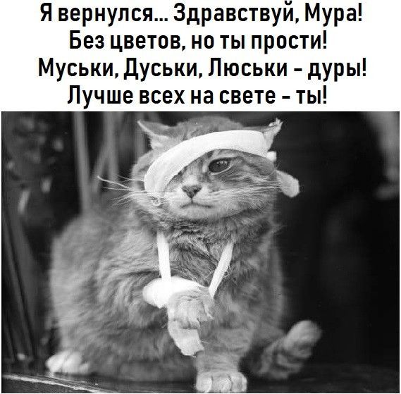 Я вернулся Здравствуй Мура Без цветов на ты прости Муськи Дуськи Люськи дуры Лучше всех на свете ты
