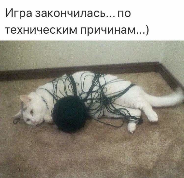 Игра закончилась по техническим причинам