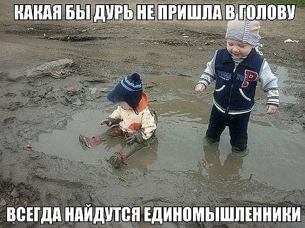 Всегда найдутся единомышленники