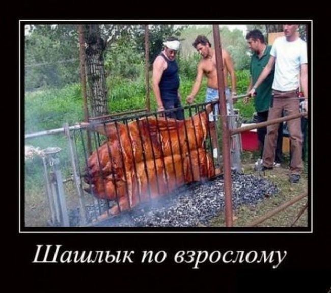 Шашлык по взрослому