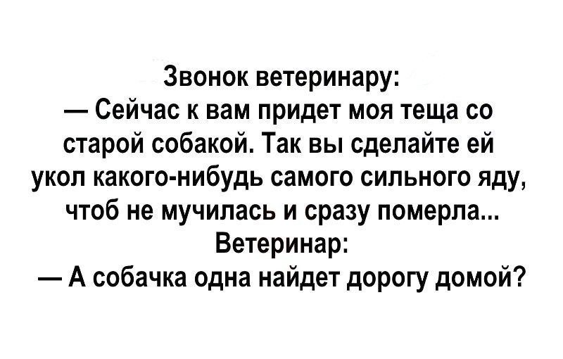 Звонок ветеринару Сейчас к вам придет моя теща со старой собакой Так вы сделайте ей укол какого нибудь самого сильного яду чтоб не мучилась и сразу померла Ветеринар А собачка одна найдет дорогу домой
