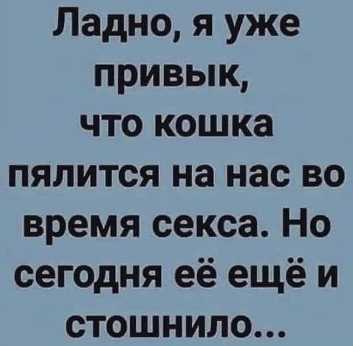 Ладно я уже привык что кошка пялится на нас во время секса Но сегодня её ещё и стошнило