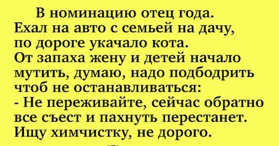 В номинацию отец года Ехал на авто с семьей на дачу по дороге укачало кота От запаха жену и детей начало мутить думаю надо подбодрить чтоб не останавливаться Не переживайте сейчас обратно все съест и пахнуть перестанет Ищу химчистку не дорого