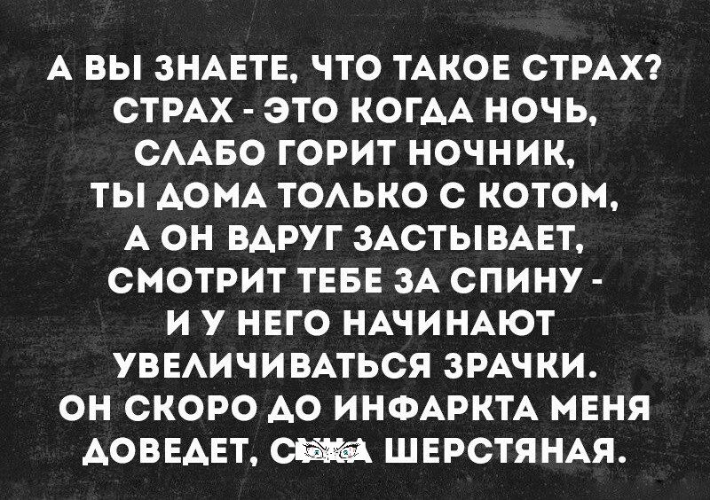 А ВЫ ЗНАЕТЕ ЧТО ТАКОЕ СТРАХ СТРАХ ЭТО КОГАА НОЧЬ СААБО ГОРИТ НОЧНИК ТЫ АОМА ТОАЬКО С КОТОМ А ОН ВАРУГ ЗАСТЫВАЕТ СМОТРИТ ТЕБЕ ЗА СПИНУ И У НЕГО НАЧИНАЮТ УВЕАИЧИВАТЬСЯ ЗРАЧ КИ ОН СКОРО АО ИНФАРКТА МЕНЯ АОВЕАЕТ СЖ ШЕРСТЯНАЯ