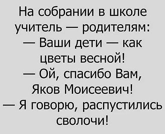 На собрании в школе учитель родителям Ваши дети как цветы весной Ой спасибо Вам Яков Моисеевич Я говорю распустились сволочи