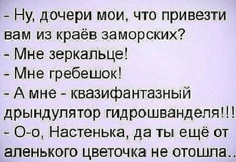 Ну дочери мои что привезти вам из краёв заморских Мне зеркальце Мне гребешок А мне квазифантазный дрындупятор гидрошвандепя Оо Настенька да ты ещё от апенького цветочка не отошла