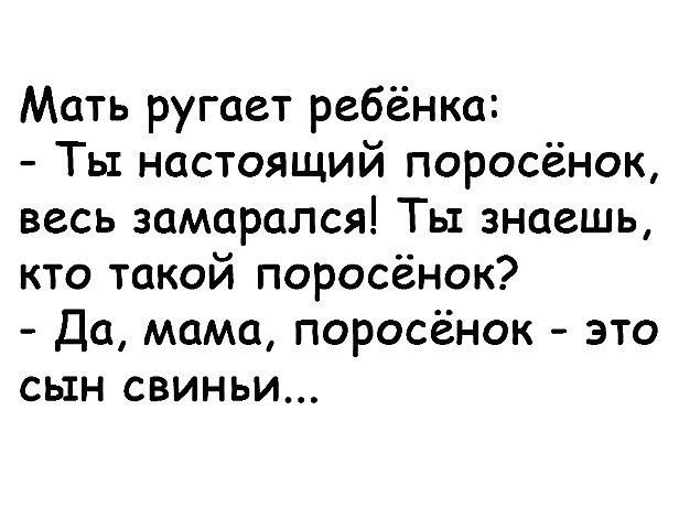 Мать ругает ребёнка Тьх настоящий поросёнок весь замарался Ты знаешь кто такой поросёнок Да мама поросёнок это сын свиньи
