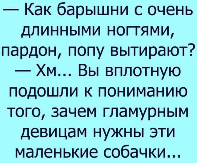 Как барышни с очень длинными ноггями пардон попу вытирают Хм Вы вплотную подошли к пониманию того зачем гламурным девицам нужны эти маленькие собачки