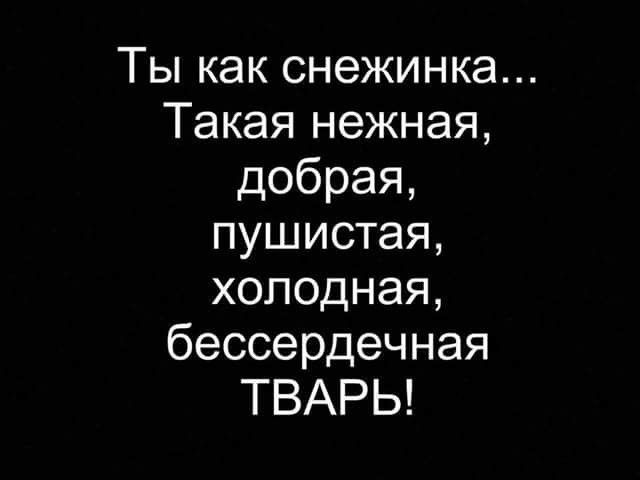 Ты как снежинка Такая нежная добрая пушистая холодная бессердечная ТВАРЬ