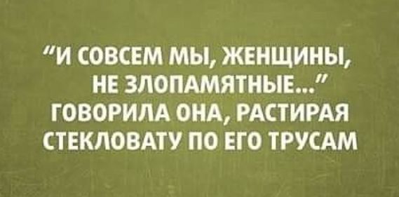 И СОВСЕМ МЫ ЖЕНЩИНЫ НЕ ЗЛОПАМЯТНЫЕ ГОВОРИЛА ОНА РАСТИРАЯ СТЕКЛОВАТУ ПО ЕГО ТРУСАМ