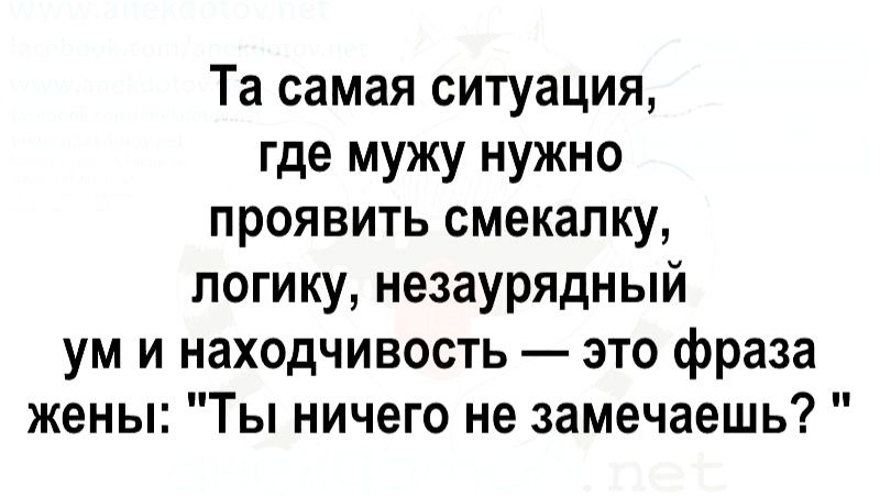 Та самая ситуация где мужу нужно проявить смекалку логику незаурядный ум и находчивость это фраза жены Ты ничего не замечаешь