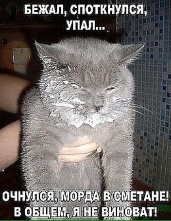 БЕЖАЛ О_ПОТКНУЛ СЯ УПАЛ