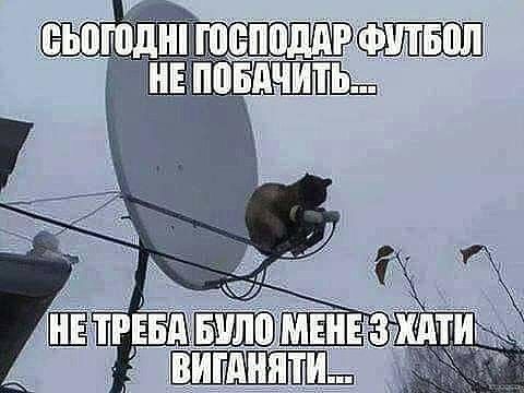 Богол пь