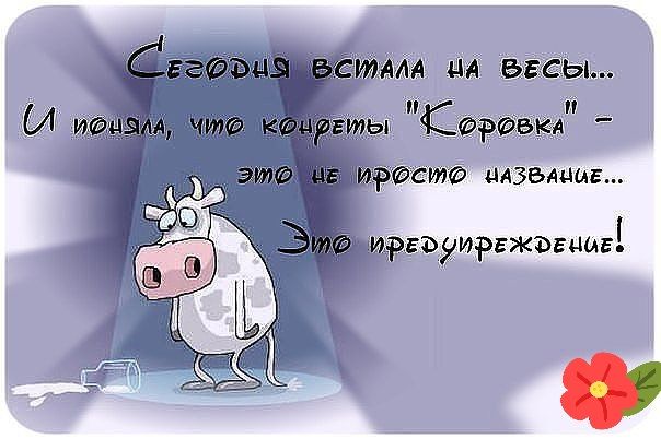ИЭЙЁЙФ ЦАЗБАЩАЕ иргъуиргжыцагі