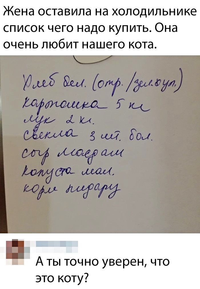 Жена ОСТдВИЛд Нд ХОЛОДИЛЬНИКЭ СПИСОК ЧЕГО НдДО КУПИТЬ Она ОЧЕНЬ ЛЮбИТ НдШёГО кота А ты точно уверен что это коту