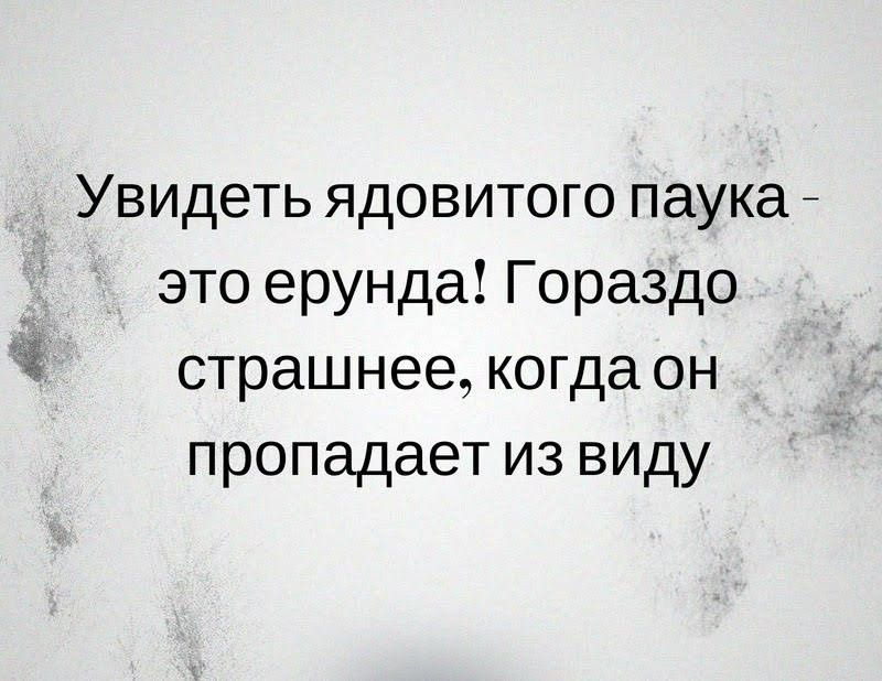 3 Увидеть ядовитого паука _ это ерунда Гораздо страшнее когда он пропадает из виду