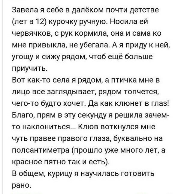 Завела я себе в далёком почти детстве лет в 12 курочку ручную Носила ей червячков с рук кормила она и сама ко мне привыкла не убегала А я приду к ней угощу и сижу рядом чтоб ещё больше приучить Вот как то села я рядом а птичка мне в лицо все заглядывает рядом топчется чего то будто хочет Да как клюнет в глаз Благо прям в эту секунду я решила зачем то наклониться Клюв воткнулся мне чуть правее прав