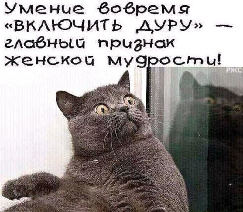 Умение 6обремя ВКАЮЧИТЬ АУРУ гАстбньш признак женской Му9оооты