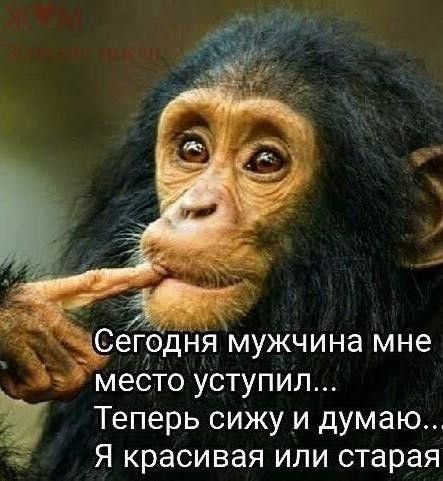 место УСТУПИЛ Теперь СИЖУ И думаю Я красивая ИЛИ старая