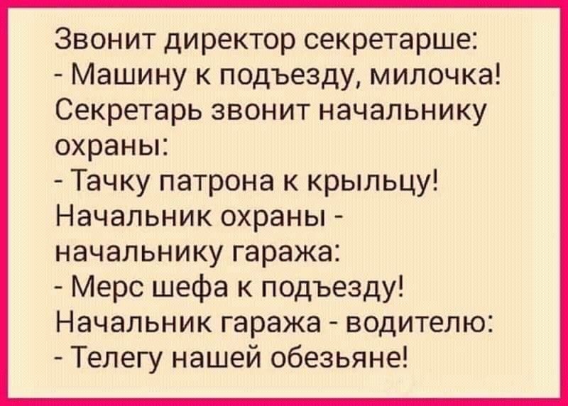 Звонит директор секретарше Машину к подъезду милочка Секретарь звонит начальнику охраньи Тачку патрона к крыльцу Начальник охраны начальнику гаража Мерс шефа к подъезду Начальник гаража водителю Телегу нашей обезьяне