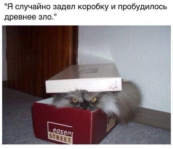 Я случайно задел коробку и пробудипось древнее зло