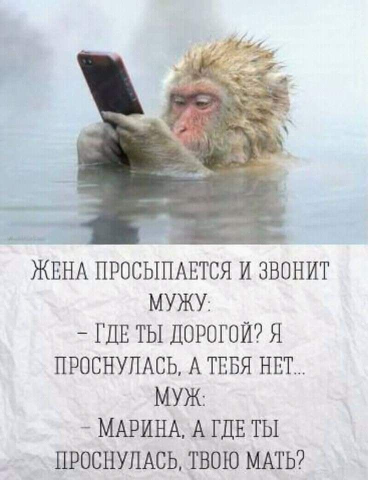 А Ёт ЖЕНА ПРОСЫПАЕТСЯ И ЗВОНИТ МУЖУ _ ГДЕ ТЫ ДОРОГОЙ Я ПРОСНУПАСЬ А ТЕБЯ НЕТ МУЖі _ МАРИНА А ГДЕ ТЫ ПРОСНУПАСЬ ТВОЮ МАТЬ