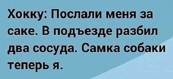 Хокку Послали меня за саке В подъезде разбил два сосуда Самка собаки теперь я