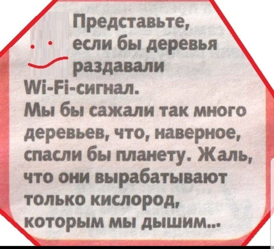 Представьте если бы деревья раздавали Мі Рі сигнал Мы бы сажали так много деревьев что наверное спасли бы планету Жаль что они вырабатывают только кислород которым мы дышим