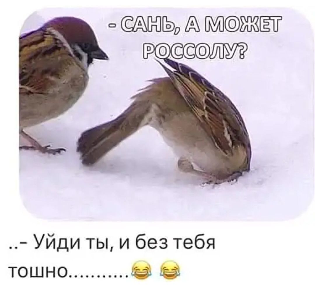 ЖЁЁ Р Уйди ты и без тебя тошно О О
