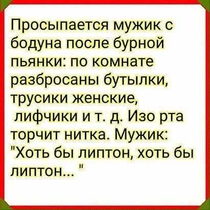 Просыпается мужик с бодуна после бурной пьянки по комнате разбросаны бутылки трусики женские лифчики и т д Изо рта торчит нитка Мужик Хоть бы липтон хоть бы липтон